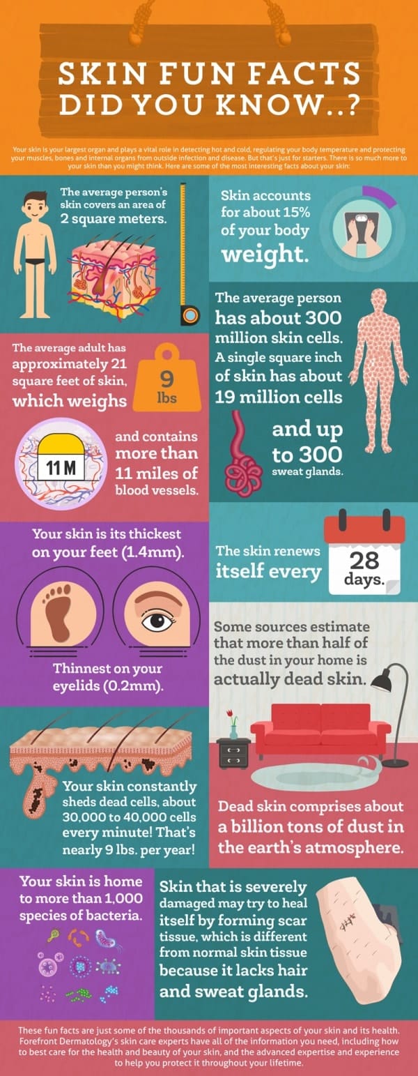 Forefront-Dermatology-Skin-Fun-Facts