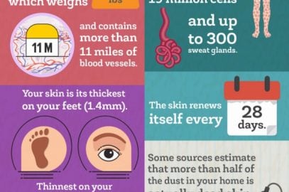 Amazing Fun Facts About Your Skin